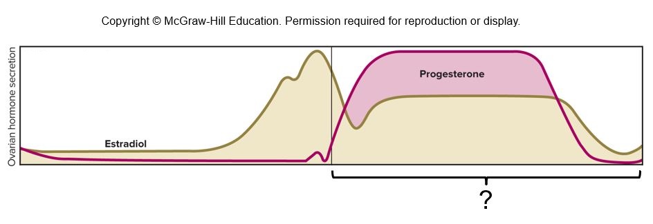 An illustration shows the ovarian cycle.